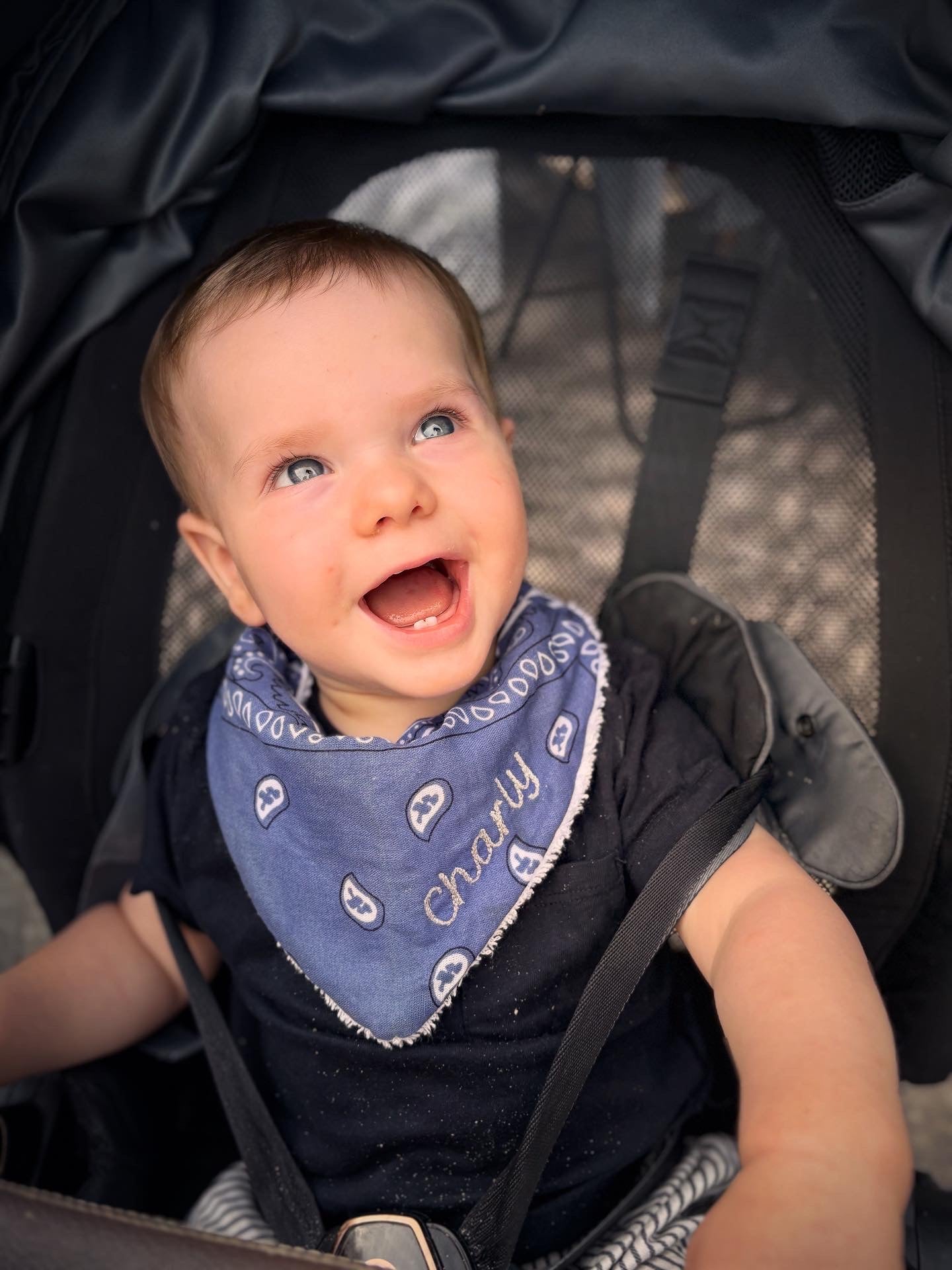 Bavoirs Bandanas brodés